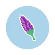 Build-A-Bear Workshop | SCENTiments™ Lavender Scent | AU Stock