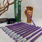 2020 Blackwing Volume XIX Box 12 Pencils ~19th Amendment ~Suffrage FIRM Graphite
