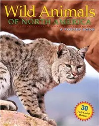 在飛比找三民網路書店優惠-Wild Animals of North America