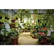 Save 14.99%! Vallarta Botanical Garden and Tequila Tasting from Puerto Vallarta