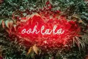 Ooh La La Neon Sign Light Lamp 20" Handmade Wall Glass Display With Dimmer VH
