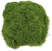 Realistic Artificial Moss Lawn Simulated Moss for Garden Indoor Decorations 100g Faux Mat