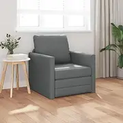 Floor Sofa Bed 2-in-1 Dark Grey Fabric, Versatile Sleeper Chair for Small Apartment Living Spaces, Single Folding Seat for Cozy Room