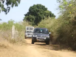 迪克森野外露營地Dickshon Safari Camping