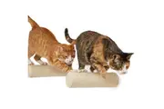 Sisal Cat Climbing Steps - 2 Pack