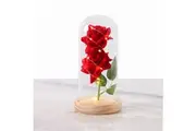 Vistara ROSE WITH LED LIGHTS IN GLASS DOME-RED 24cm Mother's Day Wedding Gift
