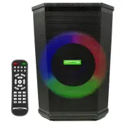 Boomerang BoomBoxx (8 inch powered wedge monitor speaker)