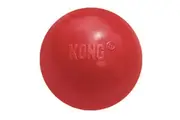 Ball With Hole Dog Fetch Toy