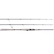 NS Black Hole Explorer Spinning Rod