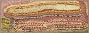 Malikijarra Jukurrpa II Canvas Art Print