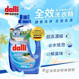 【Dalli德國達麗】全效去漬除臭濃縮酵素洗衣精(海洋香氛/3.65L)