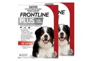 Frontline Plus For Extra Large Dogs 40 To 60Kg (Red) 12 Pipettes