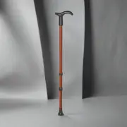 Rebotec Simplex – Walking Stick with Derby Handle