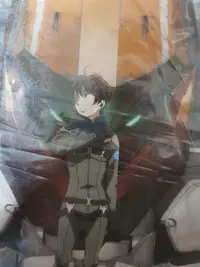 在飛比找Yahoo!奇摩拍賣優惠-Aldnoah zero AZ 界冢伊奈帆 伊奈帆 帆布畫周