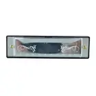 Harmonica 10 Hole 20 Tune C Key Professional Standard Mouth Organ With Case WAS