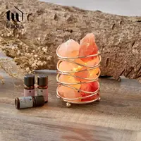 在飛比找momo購物網優惠-【好物良品】金色曼波_桌面款藝術造型喜馬拉雅水晶鹽燈 小夜燈
