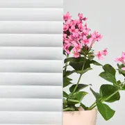 [Namly Design] Static Window Film / Pattern #4 / 90 x 150 cm