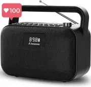 Premium Portable Digital FM Radio 30W Stereo Bluetooth Speakers 20Hr Playtime