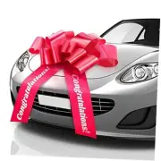 Zoe Deco - Congratulations Car Bow - Red, 30 Inch - Giant 30 Inch (Pack of 1)