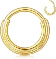 [FASHGOOD] G23 Titanium Nose Rings 16G Clicker Triple Tragus Hoops Earring,14K Gold Hinged Hoops for Septum, Conch Daith Helix Cartilage Piercings,Silver Nose Piercing Septum Jewellery Diameter 8mm