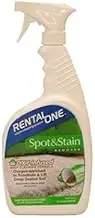 Oxy Spray Spot & Stain Remover, 32-oz. -ROC1-SPRY