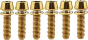 Titanium M5x20mm with Washer Allen Hex Tapered Bolts Screw for Bicycle Stem Pack of 6