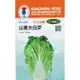 四季園 山東大白菜(Chinese Cabbage) sv-500 【蔬菜種子】每包約150粒 農友種苗特選種子