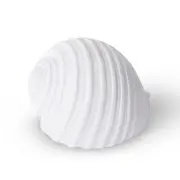 E Style Shell Moon Snail Sculpture Ornament Tabletop Home Decor 11cm White