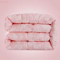 在飛比找ETMall東森購物網優惠-加厚冬被羽絲絨褥子特價美容床罩