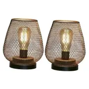 Set of 2 Metal Cage LED Lantern Battery Powered Cordless Set of two bronze egg