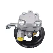 Power Steering Pump for Mitsubishi Triton L200 Pajero Montero Sport MR992871 (for: Mitsubishi)