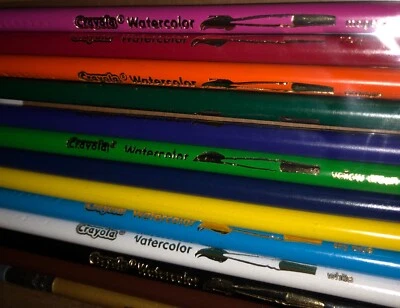 Macculloch Hall Historical Museum Crayola 12 Watercolor Pencils with Paintbrush
