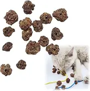 15PCS Dried Silvervine Gall Fruit with Perforated,Natural Silver Vine Cat's Teeth Cleaning,Open Hole Gall Fruit Cat Chew Toy,Gall Fruit Kitten Teething Toys Increase Appetite,Cat Sticks Regulate Mood
