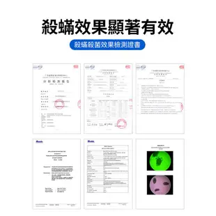 【蝦幣回饋5%】Euleven有樂紛 UV熱風吸塵除蟎機(旗艦) 塵蟎機 UV殺菌 60度高溫熱風 SYJ-3005E