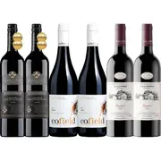 Selector Food & Wine Fix Red 6-Pack, Australia multi-regional Mixed Red Wine Pack, Wine Selectors