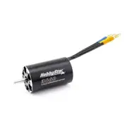 HobbyStar 3660 4-Pole Brushless Sensorless RC Boat Motor, Waterproof - 2600KV