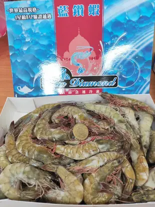 [冷凍]阿拉伯特級藍鑽蝦(1公斤裝(40-50隻)／盒)