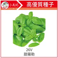 在飛比找蝦皮購物優惠-【植物保鑣】甜羅勒種子26V 香料種子 種植 種苗 土壤 蔬