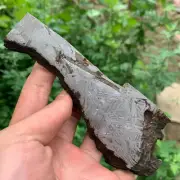 322g Altay Iron Meteorite Space Meteorite Slice