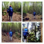 【112021919】50L 登山運動輕量背包 FREE KNIGHT 雙肩後背包 男女中性運動旅行登山包