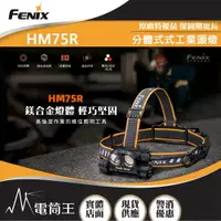 在飛比找樂天市場購物網優惠-【電筒王】Fenix HM75R 1600流明 223米 鎂