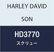 Harley Davidson HD3770 SCREW, HEX CAP, 12 POINT