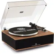 ANGELS HORN Vinyl Record Player, Bluetooth Turntable with Built in Speakers