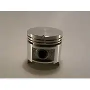Austral Piston Set - PO650 STD
