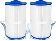 PMA40L-F2M Spa Filter Compatible with Ma Ster S pas T wilight X268365 - Hot Tub Filter Replacement for PMA40L-F2M, 6CH-402, X268543, 40 Sq. Ft, 2 Pack