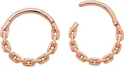 365 SLEEPERS Surgical Steel 16G 8mm 10mm Chain Links Hinged Segment Ring Helix Tragus Septum Nose Lip Hoop Huggies Earring Body Piercing Jewellery