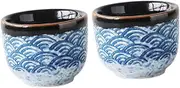 NOLITOY 2Pcs Japanese Style Glazed Sake Cups Elegant Ceramics Sake Serving Containers with Finish for Home Decor Drinks Capacity Present for Tea Parties