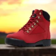 TIMBERLAND Waterproof Field Boots Men's Size 11.5 Red New York Bronx's Brooklyn