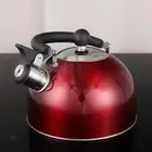 Tea Kettle Outdoor Camping Stainless Steel for Gas, Induction Water Kettle