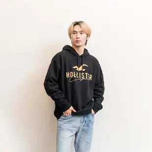 【HOLLISTER Co】海鷗 男版 設計款 帽T 長袖 連帽 穿搭 現貨 美國(平輸品)